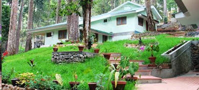 Forest Cottages At Munnar Kerala