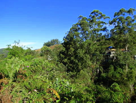 Munnar Eden Cottage outside far view