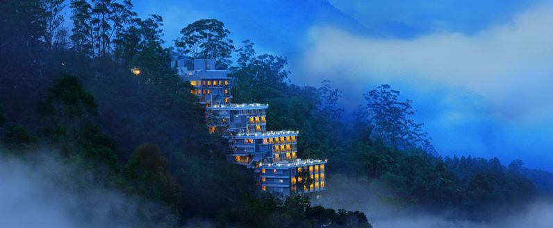 Munnar Windy wood view from outside