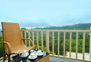 Munnar Luxury Stay Balcony view